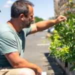 S俠astien Wittevert